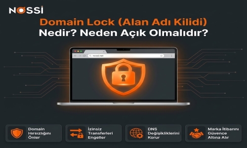 Alan Adı Kilidi