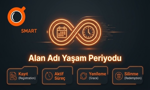 Alan Adı Yaşam Periyodu 